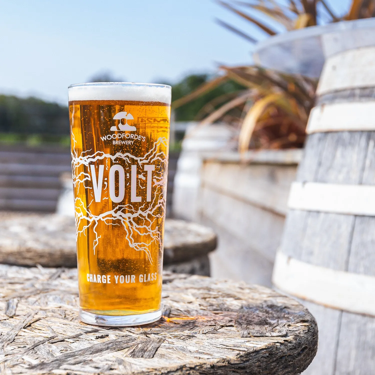 Woodforde's Volt American IPA birra 8x500ml