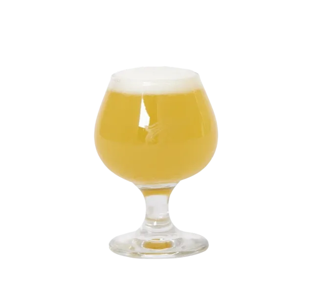 Allagash Taster bicchieri degustazione birra