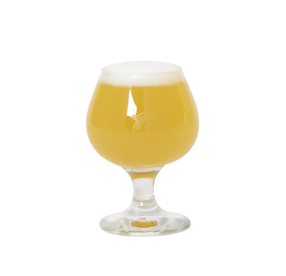 Allagash Taster bicchieri degustazione birra