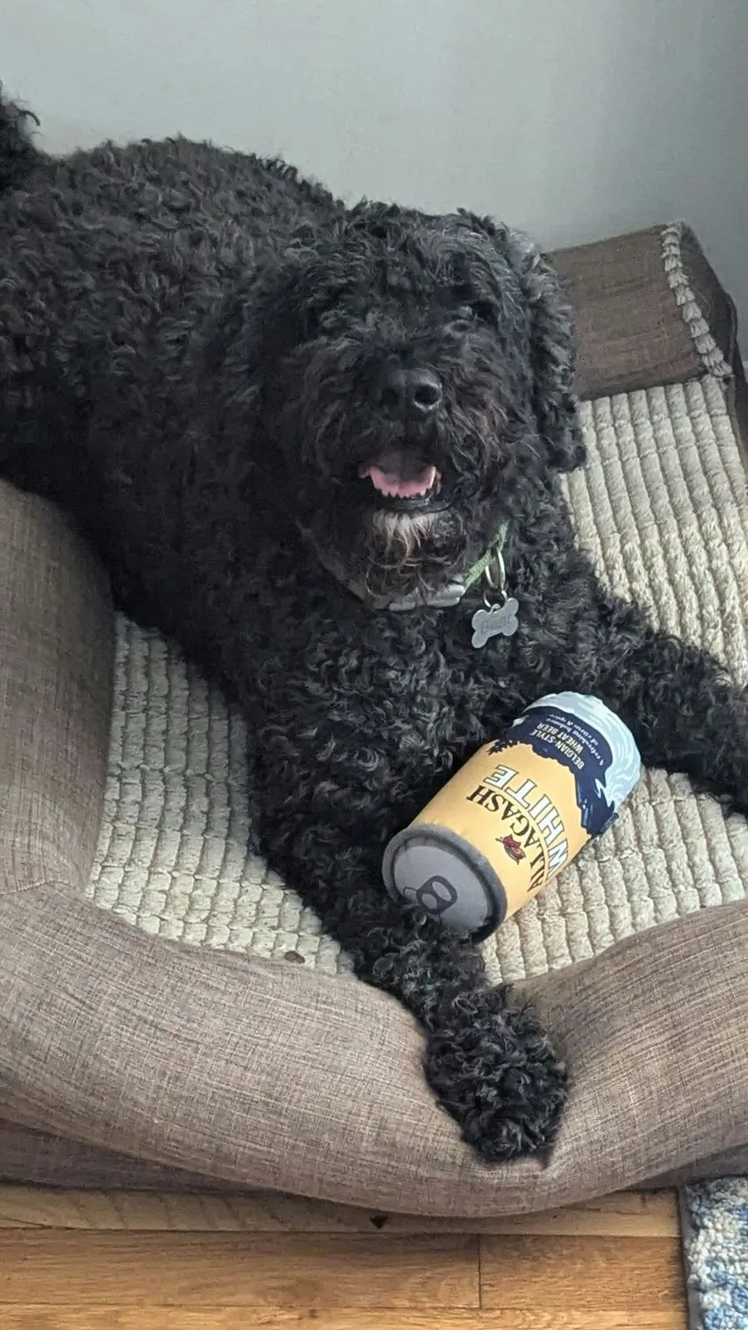 Allagash PrideBites gioco per cani squeaky
