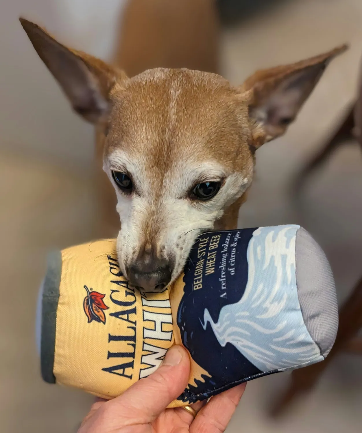 Allagash PrideBites gioco per cani squeaky