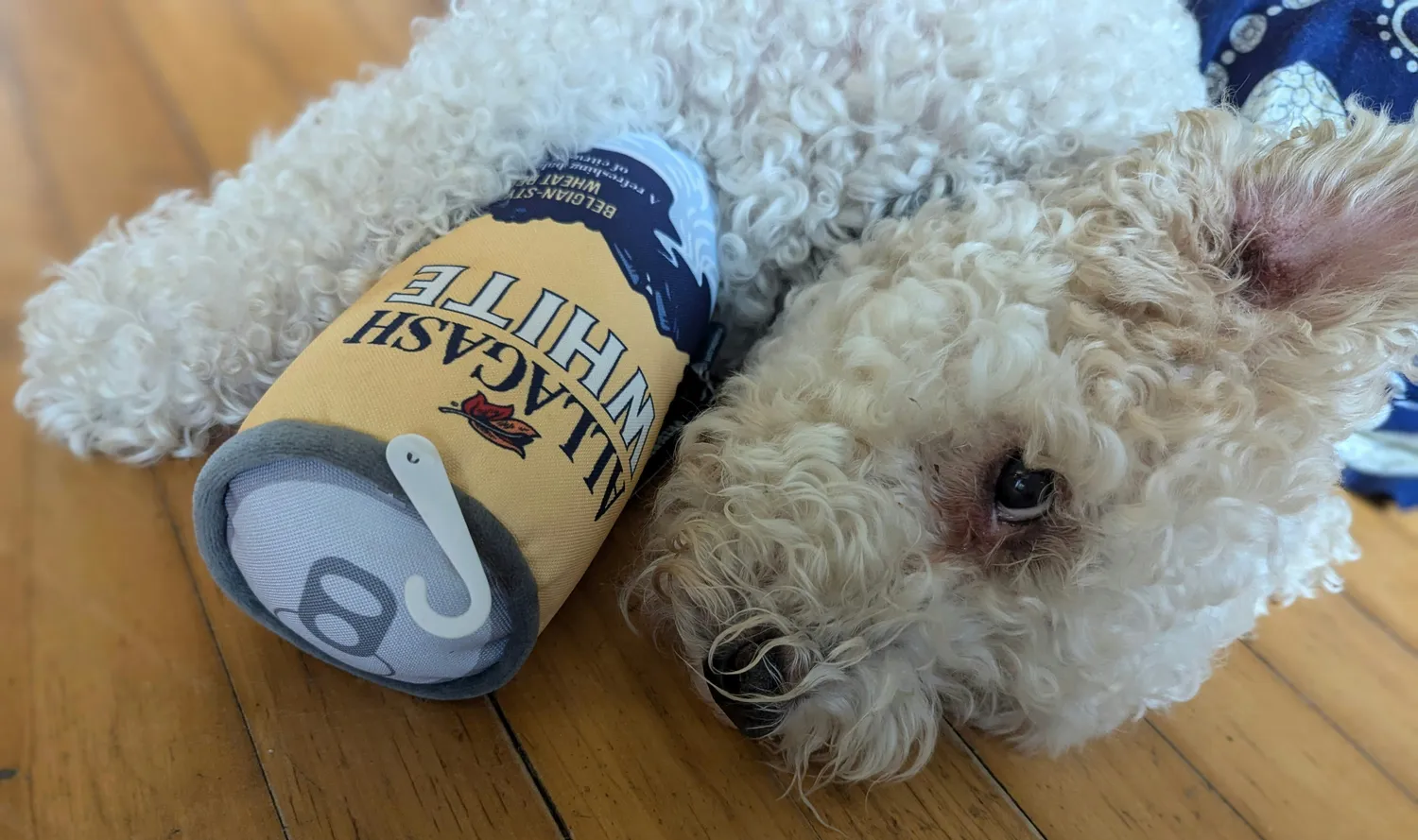 Allagash PrideBites gioco per cani squeaky