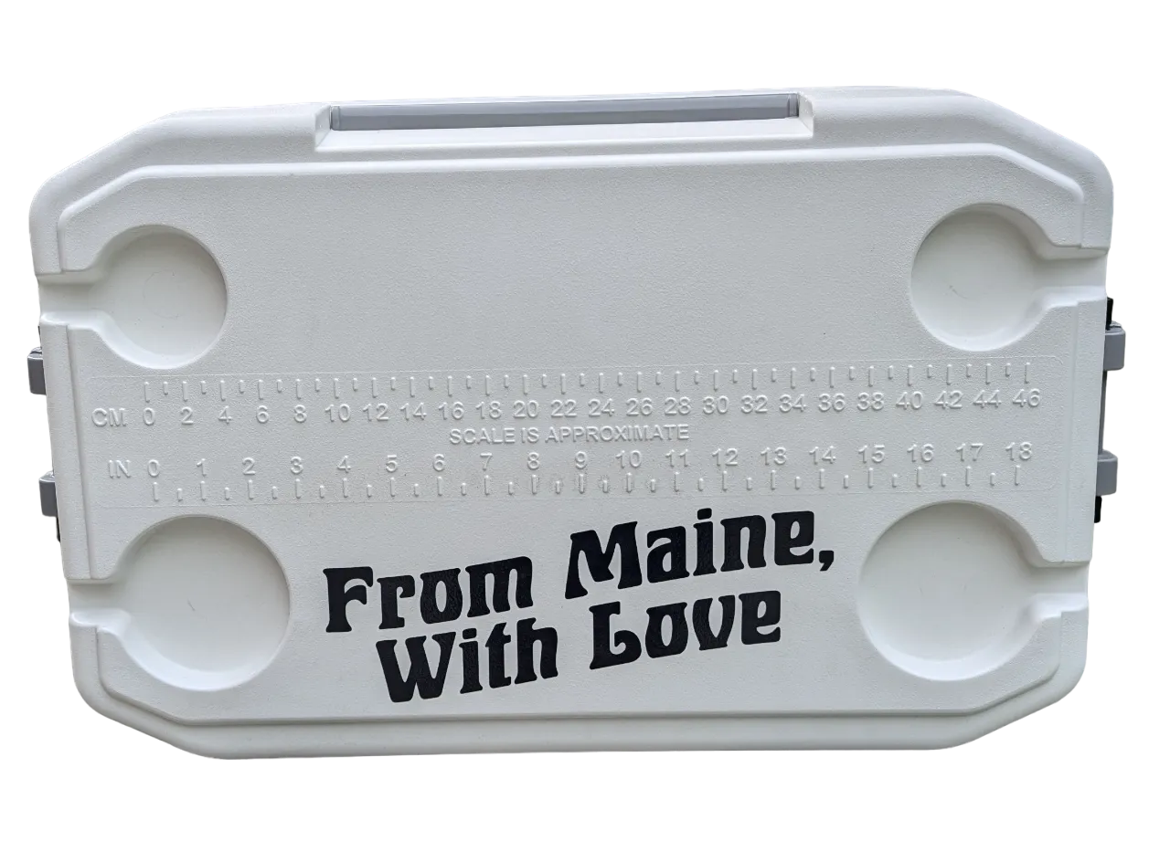 Allagash Igloo 54 Qt Marine ghiacciaia rigida