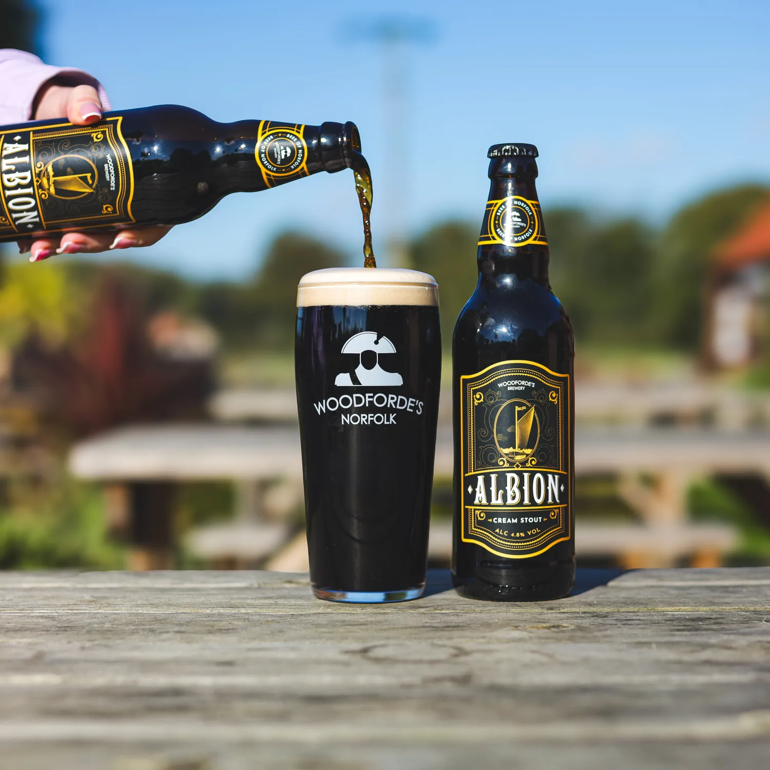 Woodforde's Albion cassa birra cream stout 8x500ml