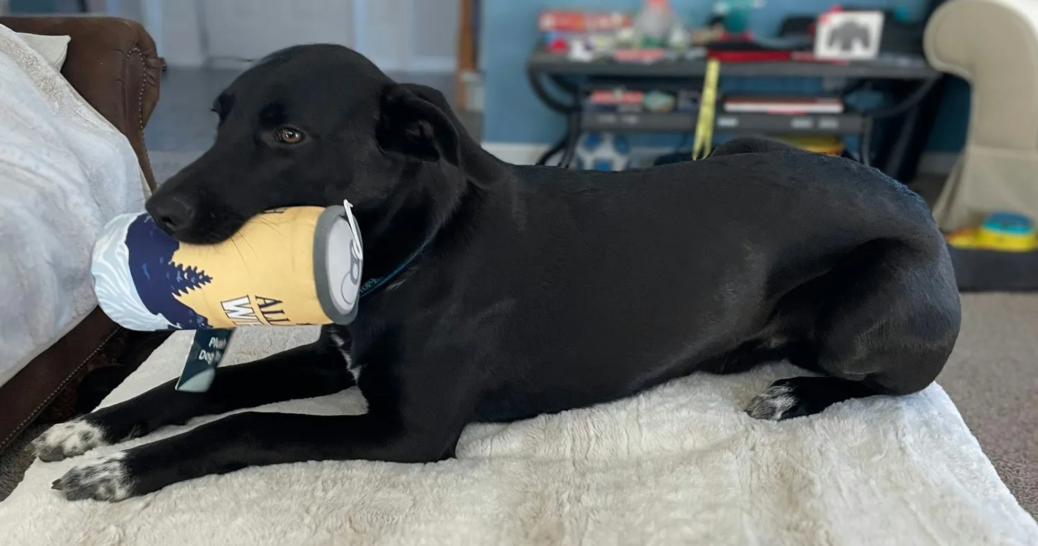 Allagash PrideBites gioco per cani squeaky