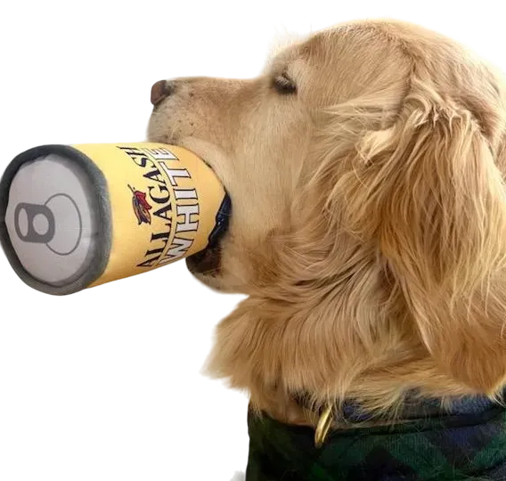 Allagash PrideBites gioco per cani squeaky