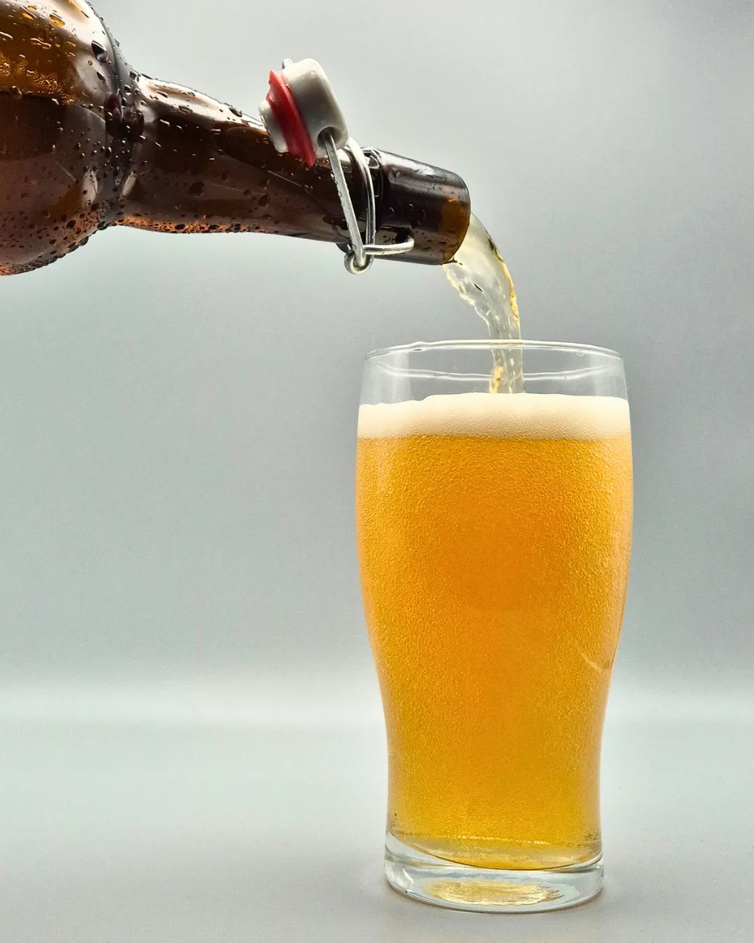 Abba Bionda Speciale birra 75cl agrumata