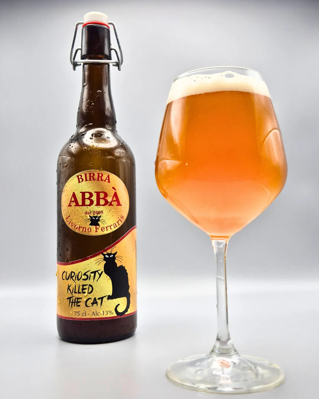 Abba Curiosity Killed The Cat birra 75cl agrumata