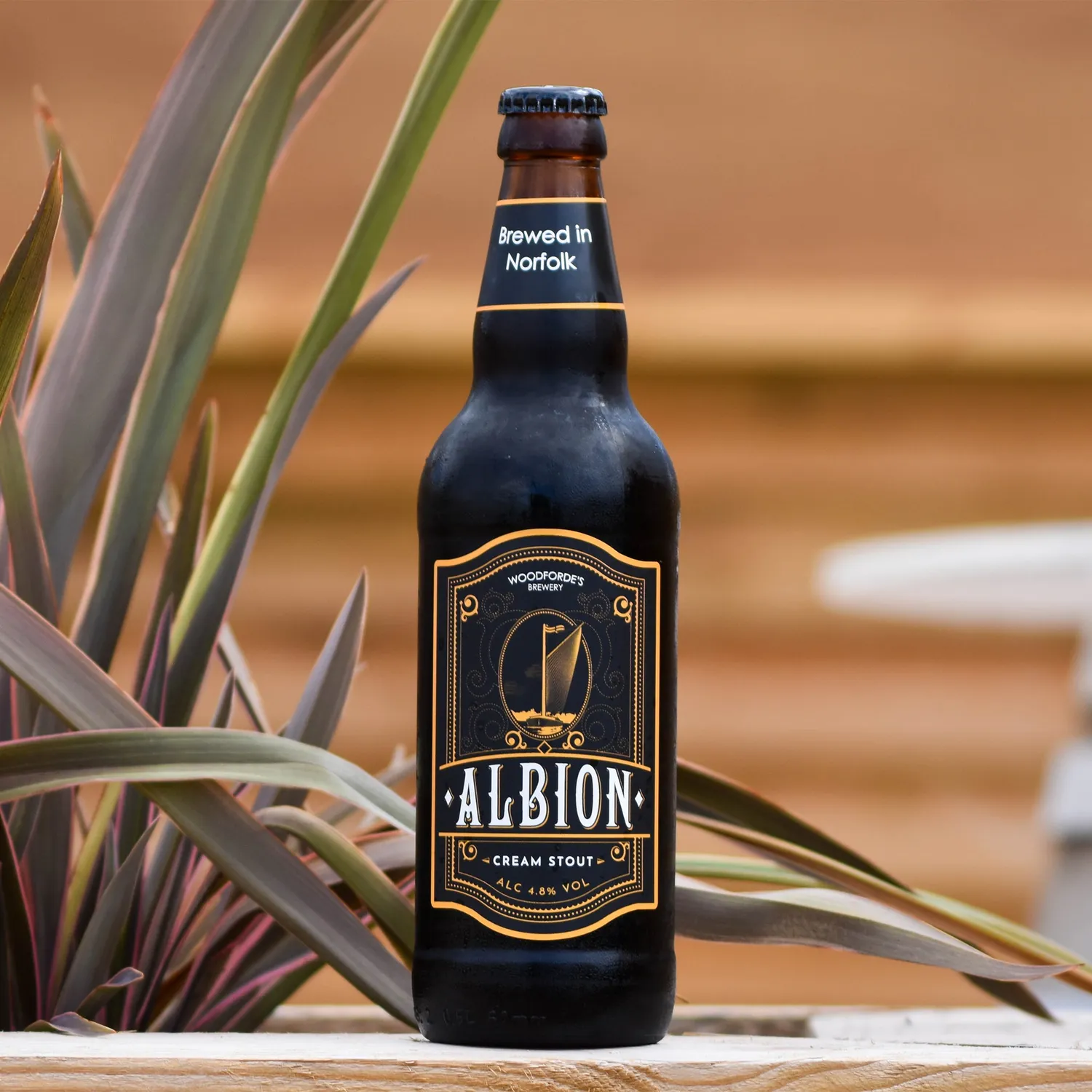 Woodforde's Albion Cream Stout bottiglia 4,2% cremosa